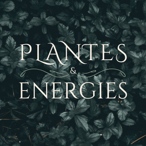 plantes et energies logo (1)