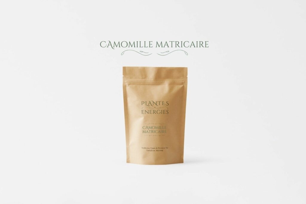 Matricaria chamomilla - La mère des plantes apaisantes