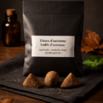 Encens artisanal Souffle d'automne - pack de 3