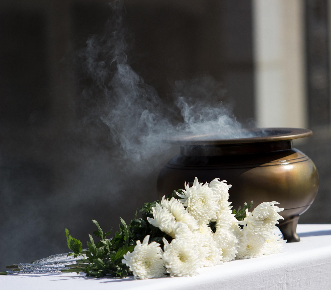 bol de fumigation et plantes