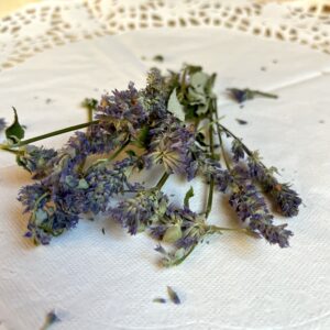 Agastache bio - Agastache foeniculum