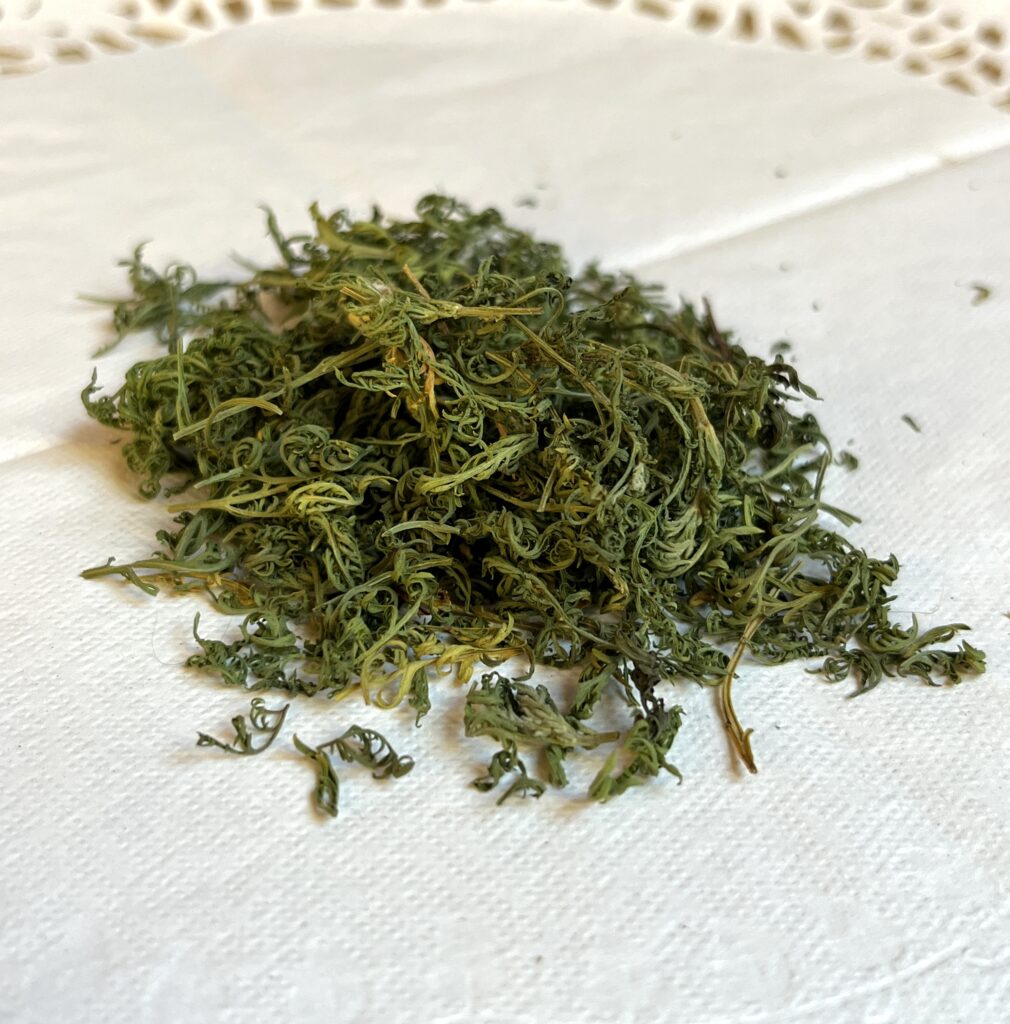 Armoise annuelle bio - Artemisia annua