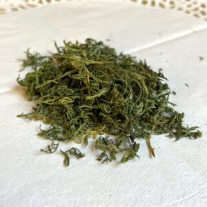 Armoise annuelle bio - Artemisia annua