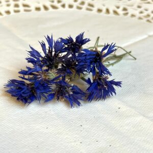 Bleuet bio - Centaurea cyanus