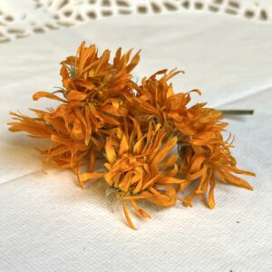 Calendula (souci) bio - Calendula officinalis