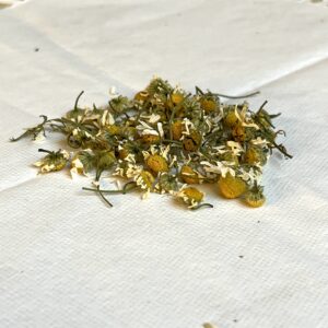 Camomille matricaire bio - Matricaria chamomilla