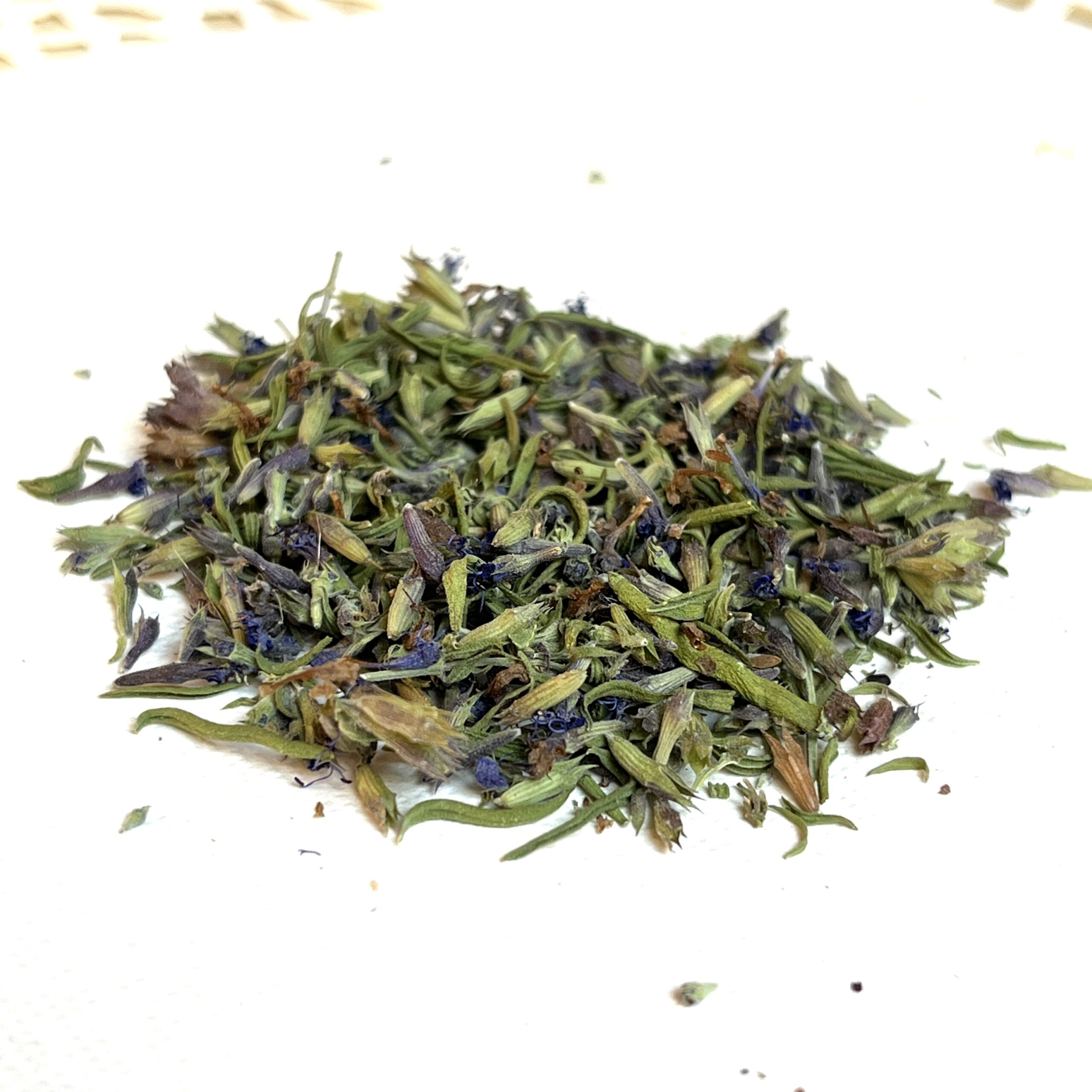 Hysope bio - Hyssopus officinalis