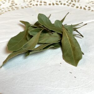 Laurier noble bio - Laurus nobilis