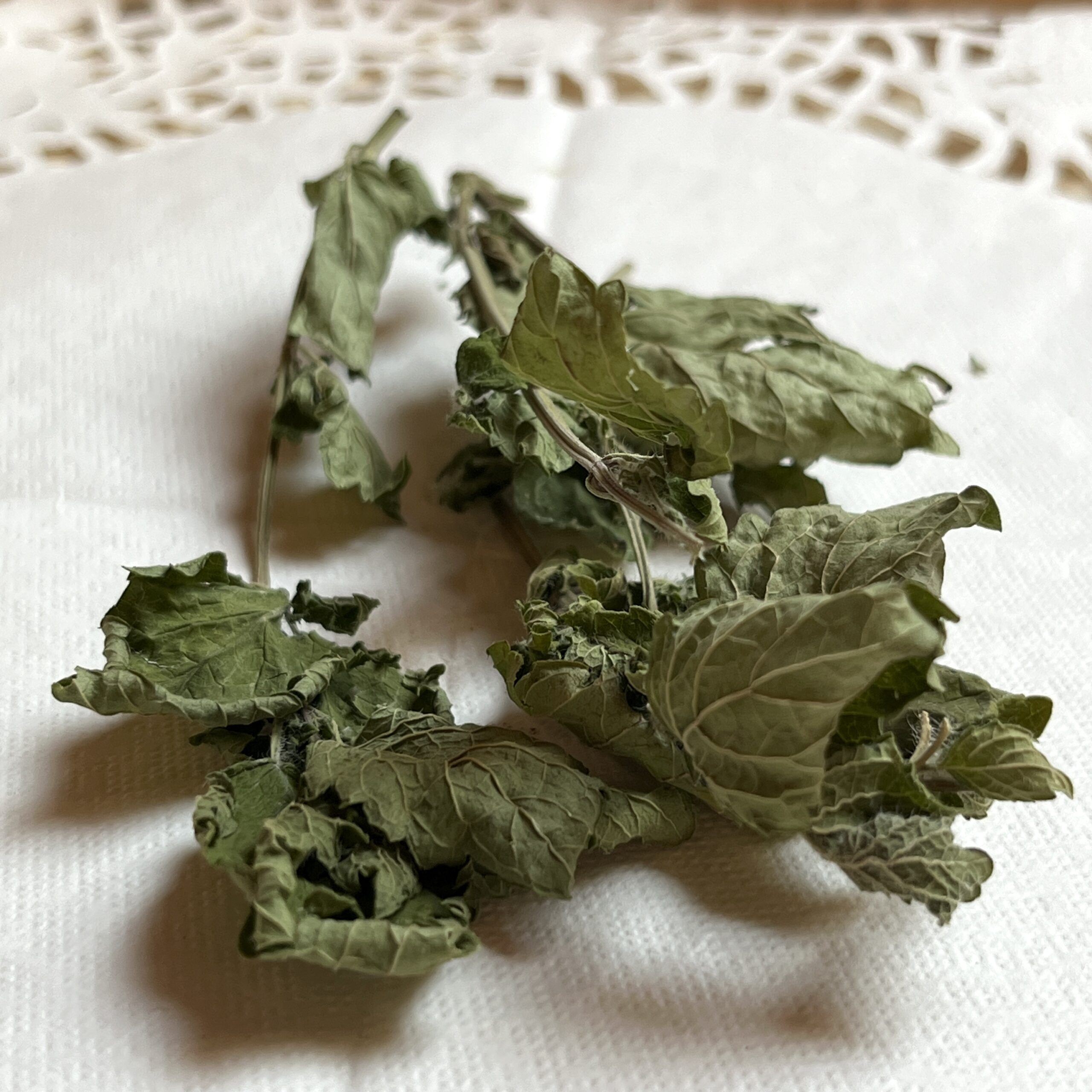 Menthe poivrée bio - Mentha × piperita