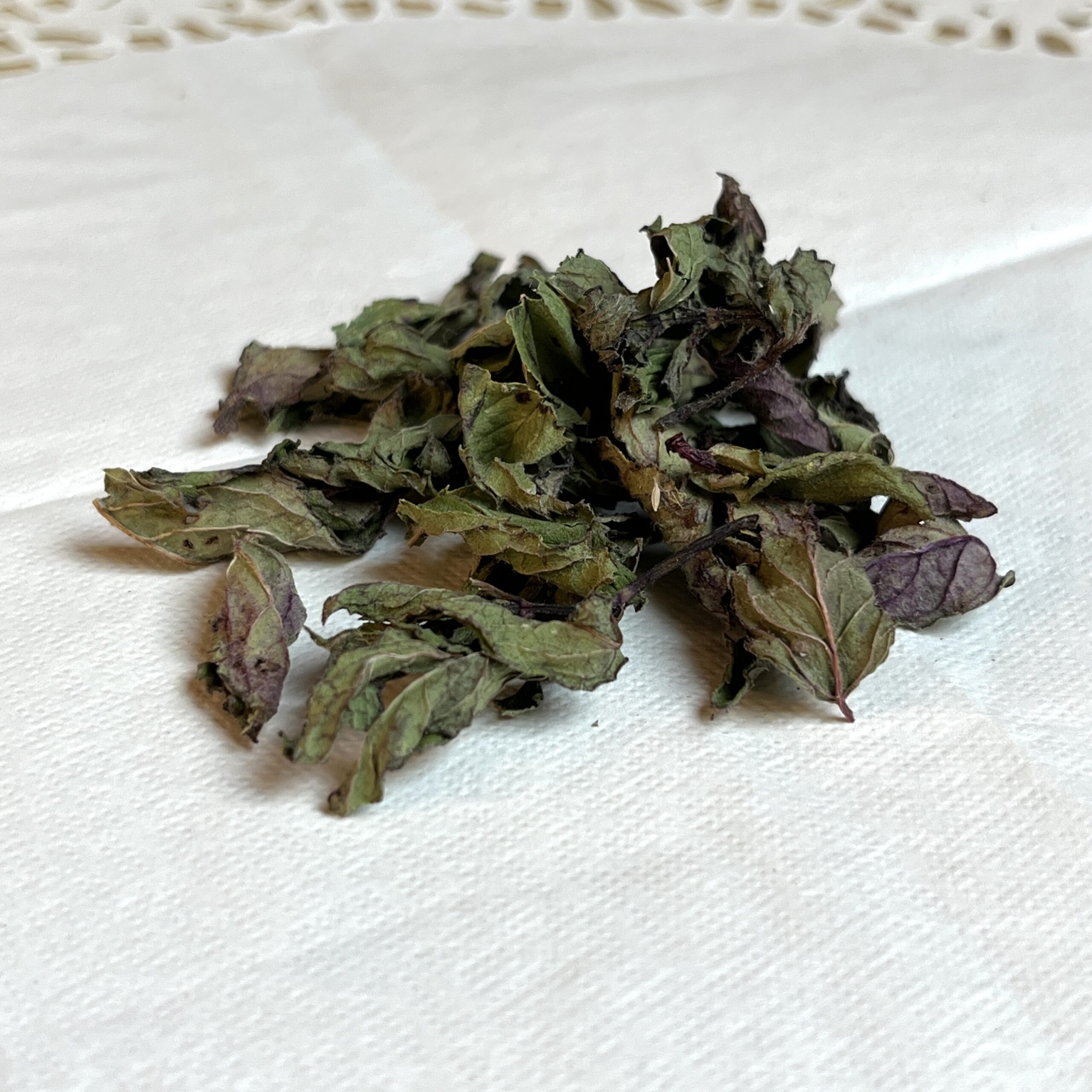 Monarde rouge (feuille) bio - Monarda didyma