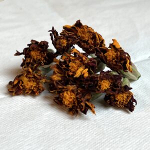 Œillet d’Inde bio - Tagetes patula