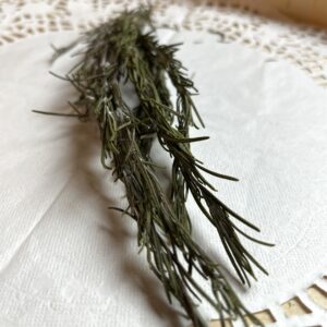 Romarin bio - Rosmarinus officinalis