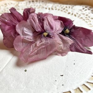 Rose trémière bio - Alcea rosea