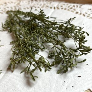 Rue bio - Ruta graveolens