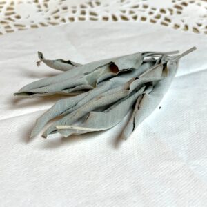 Sauge blanche bio - Salvia apiana