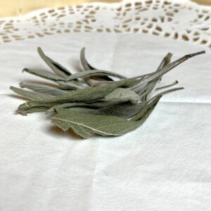 Sauge officinale bio - Salvia officinalis