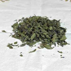 Verveine officinale bio - Verbena officinalis